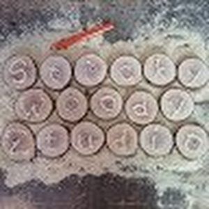 Meet your Posher, Stickywoodyz